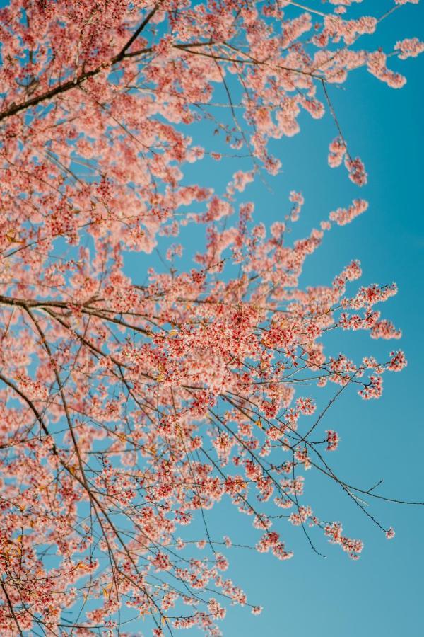 Le Phuong Dalat 호텔 외부 사진